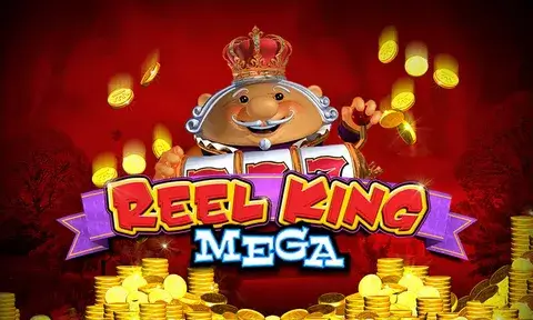 qqee's Mega Reels